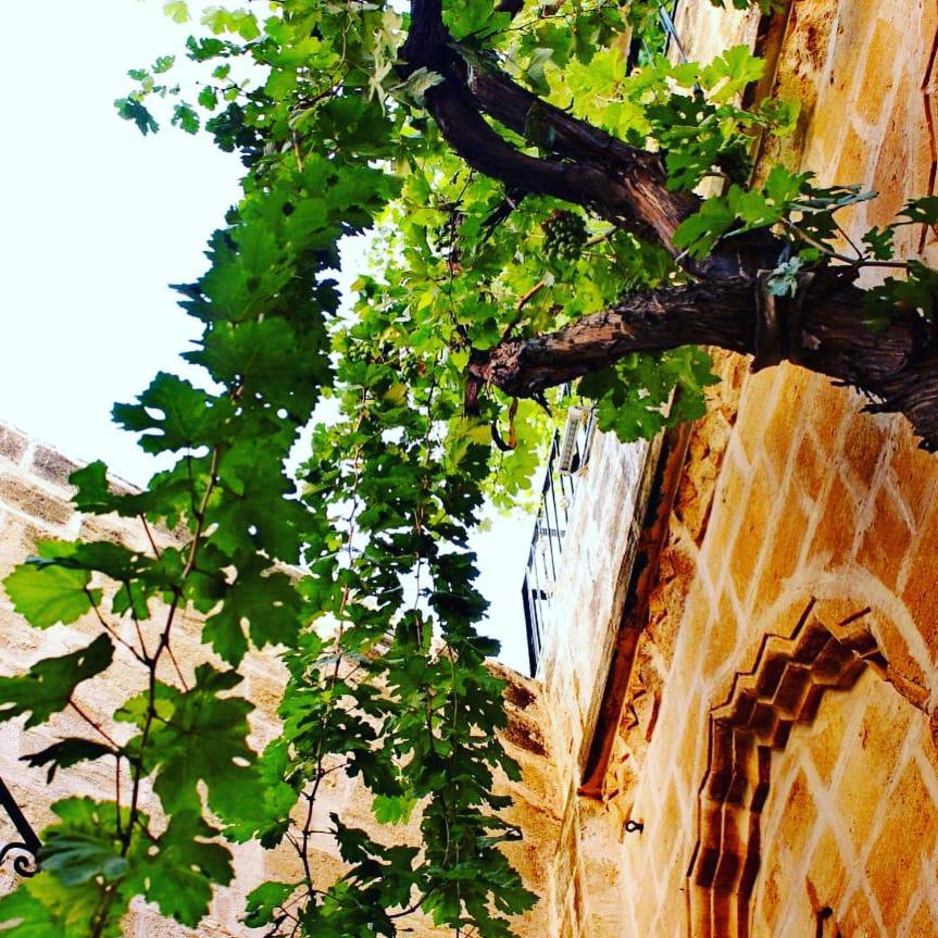 Old City Hotel Mardin Dış mekan fotoğraf